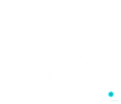 QlikView